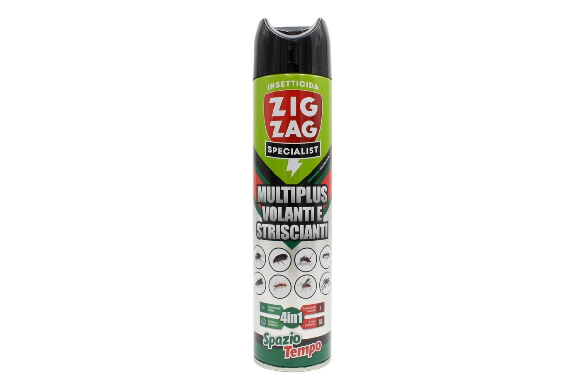 ZIG ZAG SPAZIO-TEMPO INS. VOL+STRISC. 600ML