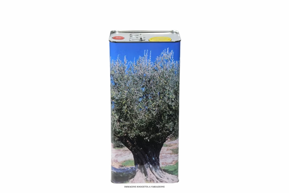 CONTENITORE IN LATTA PER OLIO 2LT LITOGRAFATA