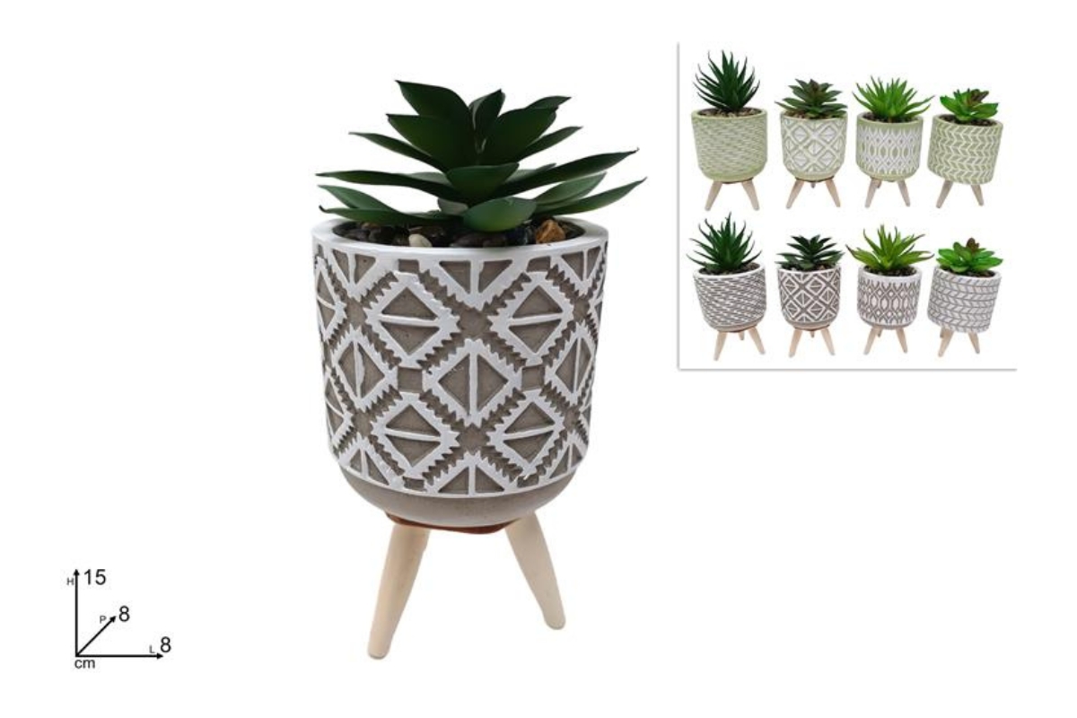 PIANTINA GRASSA CON TREPPIEDE DIAMETRO 8CM 2 COLOR