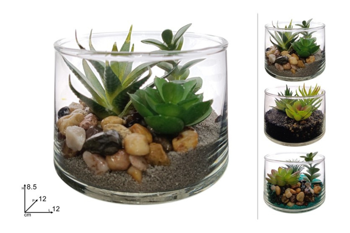 PIANTA GRASSA C  VASO VETRO 12CM x 8,5CM 3 ASS.