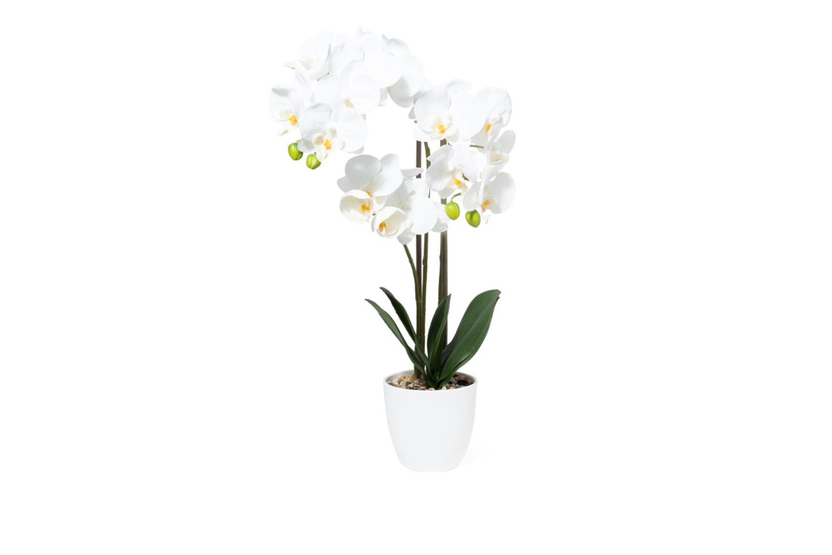 ORCHIDEABIANCA VASO EFFETTO REAL TOUCH 30XH.52
