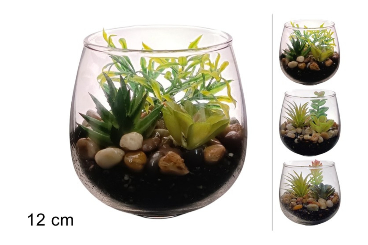 PIANTA GRASSA C/VASO VETRO 12CM x 12CM
