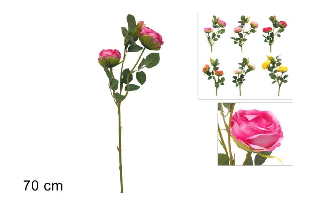 STELO 2 ROSE 70CM 6COL