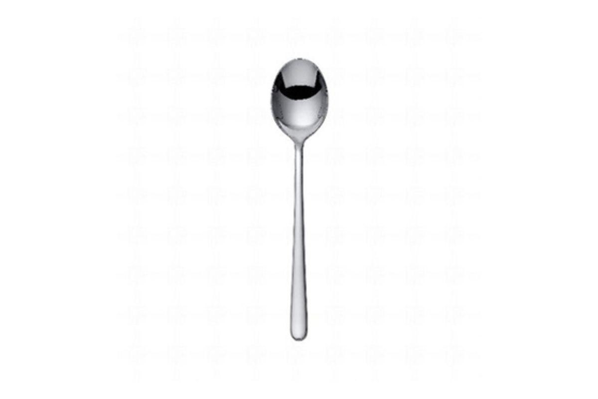 CUCCHIAIO FRUTTA SKY INOX 18/10 SPESS.4MM LUCIDA PINTINOX